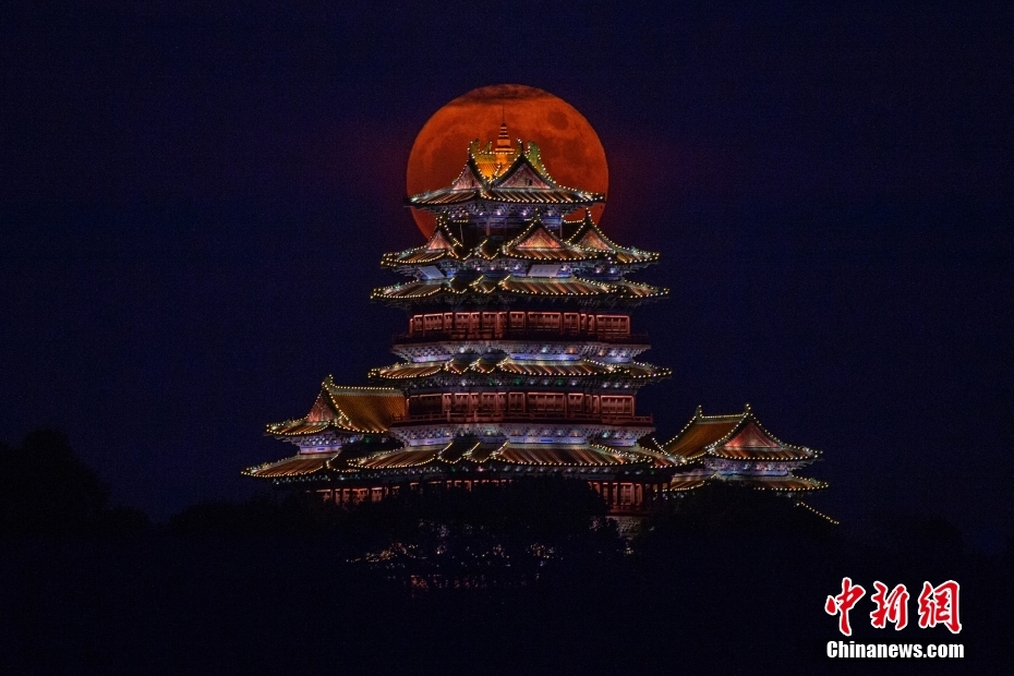 彩虹直播