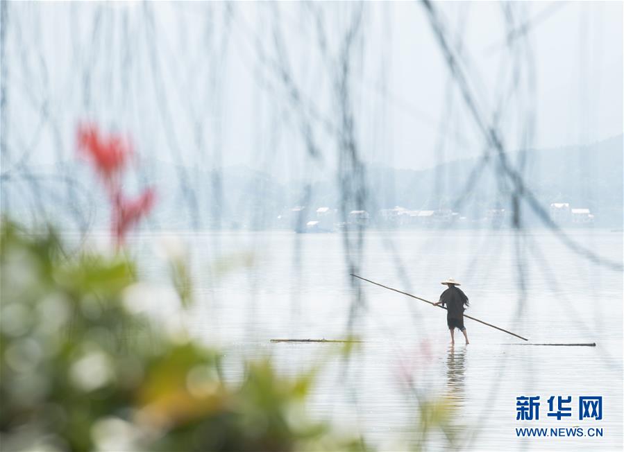 中国性老太Hd大全一中国性老