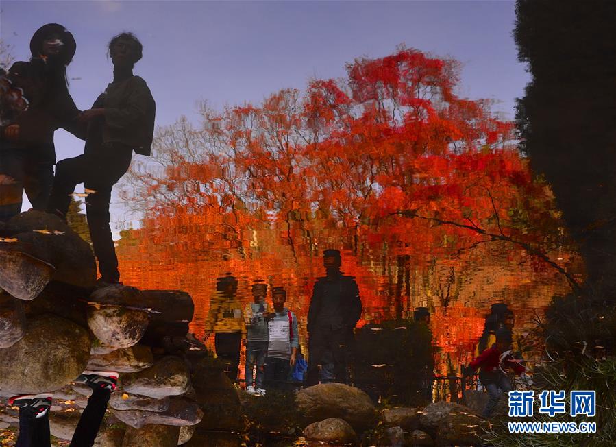 免费人成视频Xvideos网址