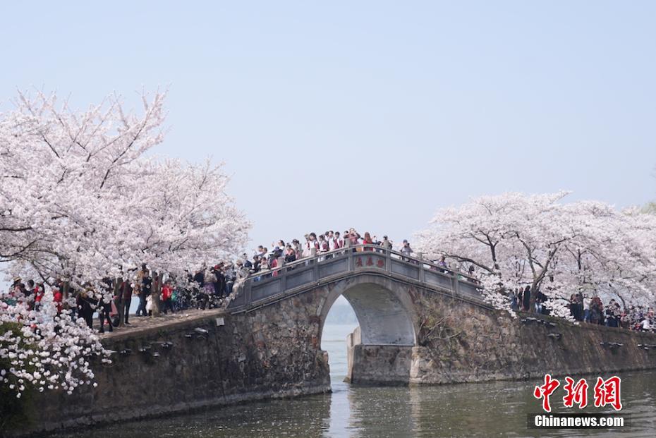 久久久黄色