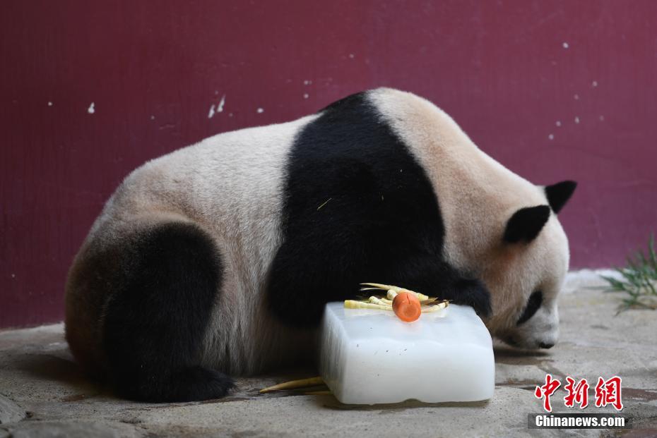 被老头伦流澡到高潮H小雪