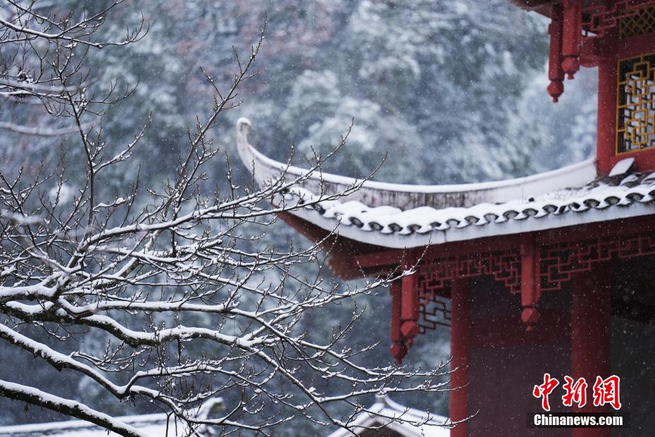 大地资源7页