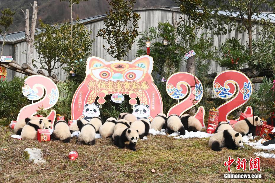 伊人九九