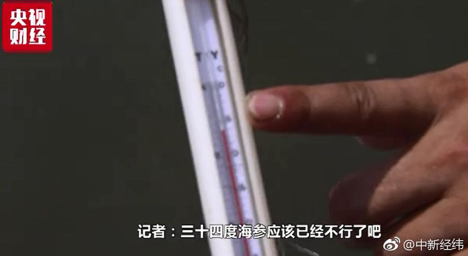 宏Gay被猛男Ca0精品一百度