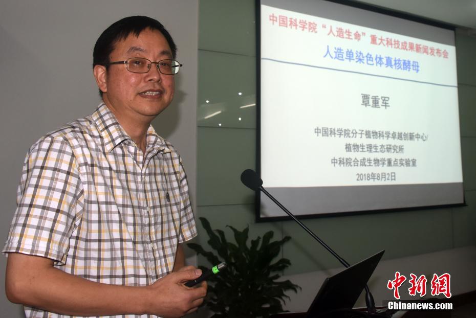 双乳被一左一右吃着的动态图