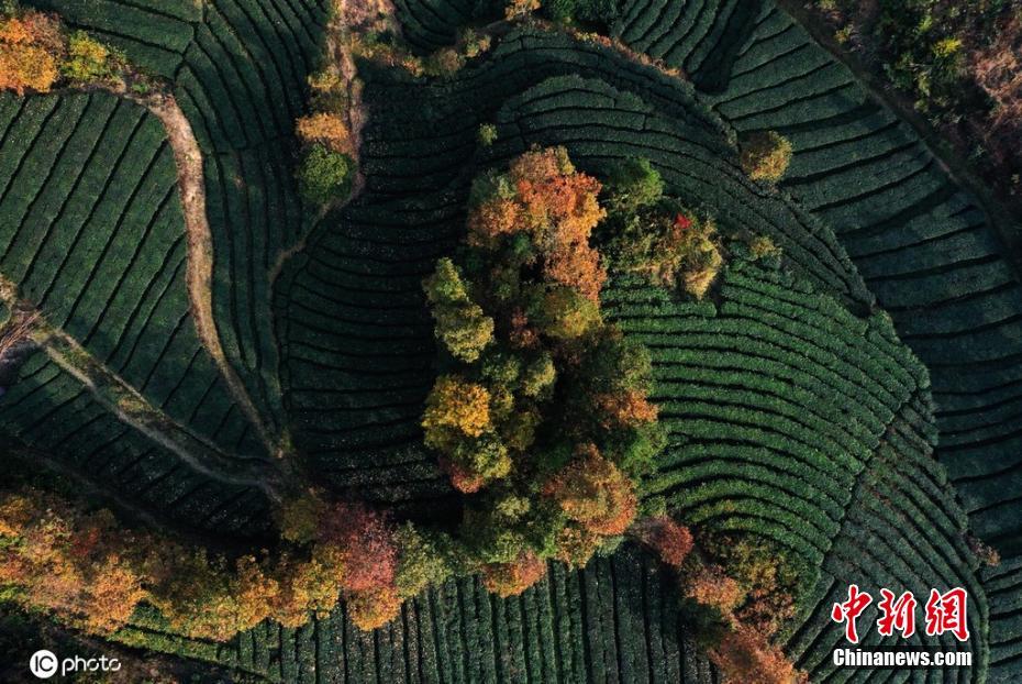 成年免费三级电影