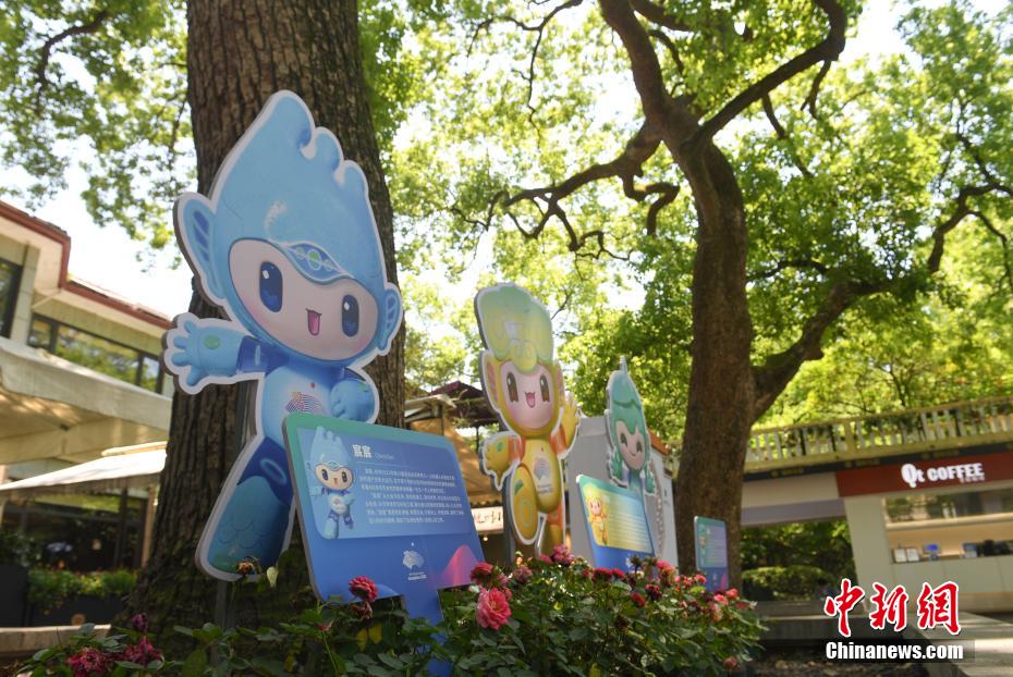 小奶狗