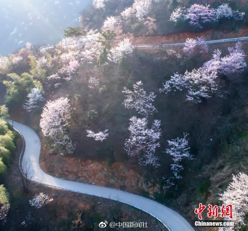 韩国少妇论理大片