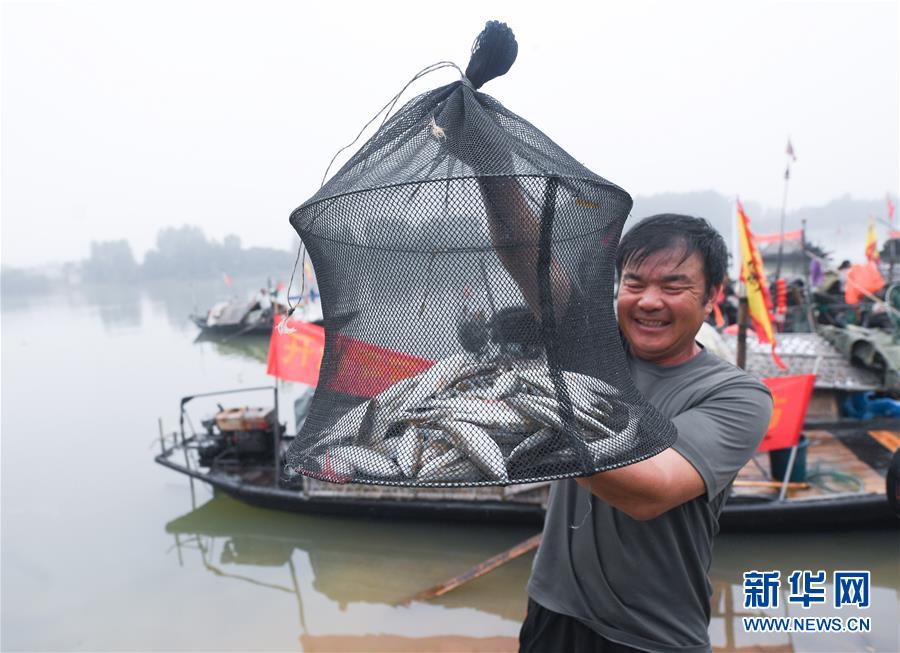 91麻豆视频