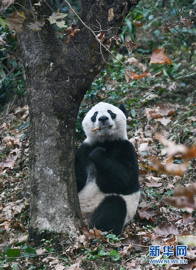 手机otg功用如何用？手机otg功用测试用例