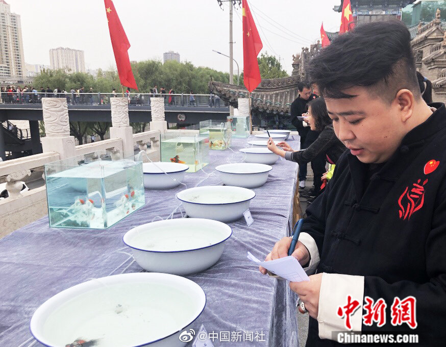 男女靠逼软件