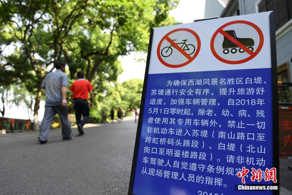 欧美丰满多毛少妇Xxxxx