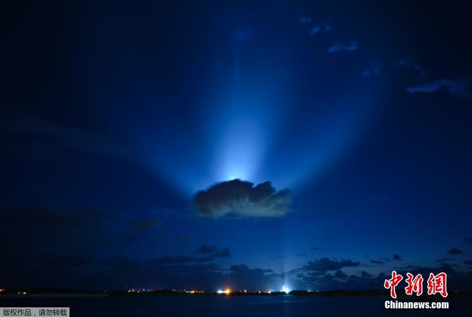 穿越火线关小雨拔萝卜