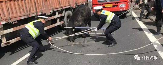刘嘉玲三点无码裸体