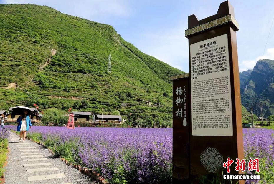 性高潮伦理韩国