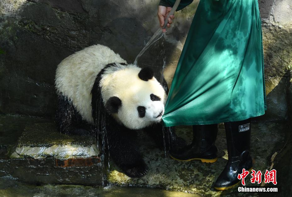 一起嗟嗟嗟免费观看短片小视频