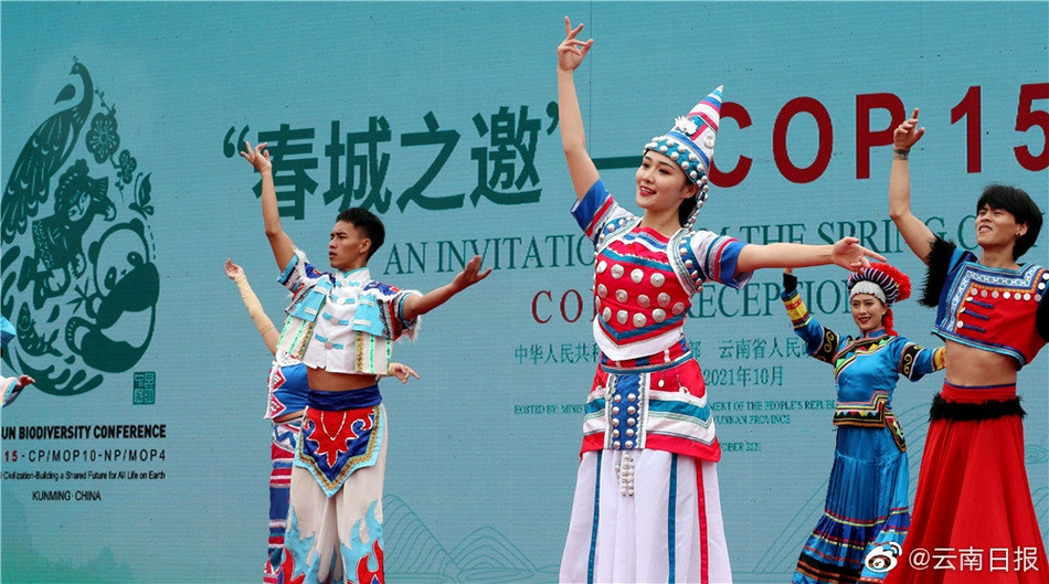 肥女人日逼