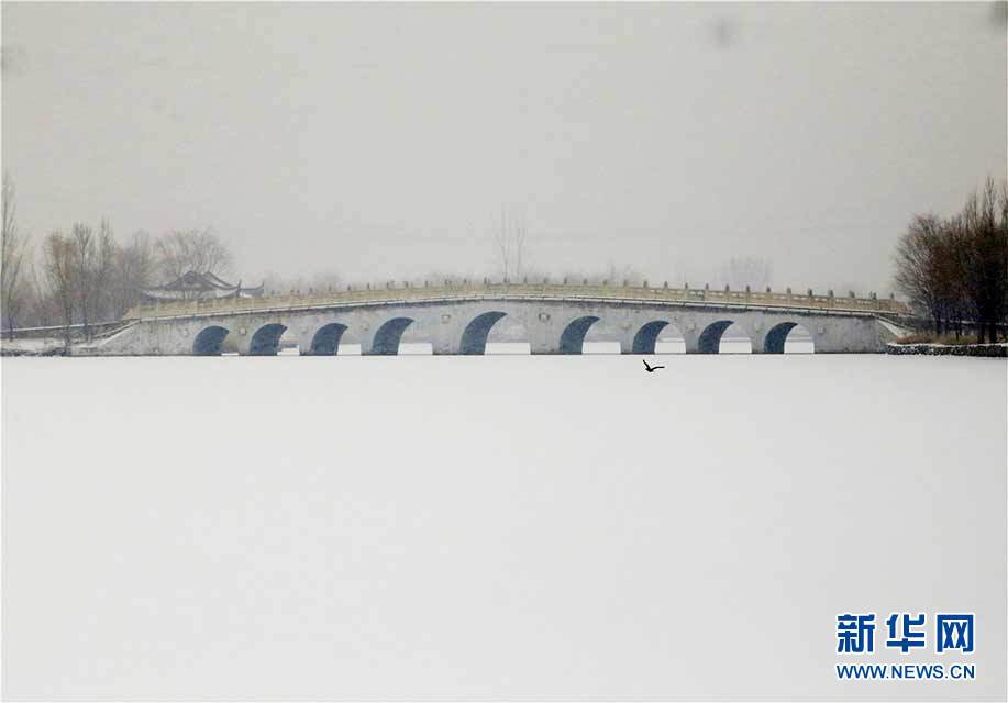 鲁大师在线看片在线播放