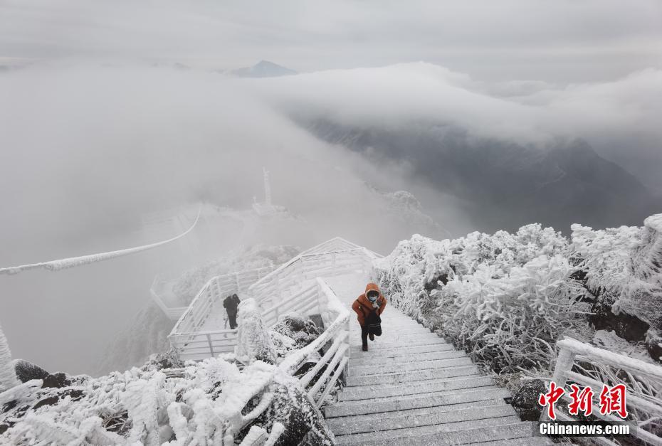 杨钰莹一级黄片
