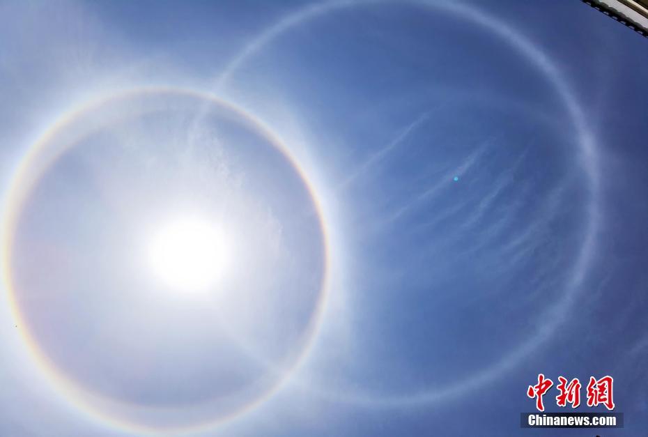 成人 高清 网站