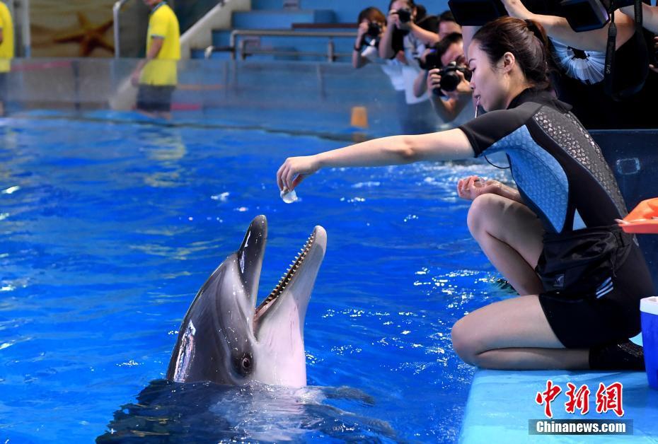 新水浒传