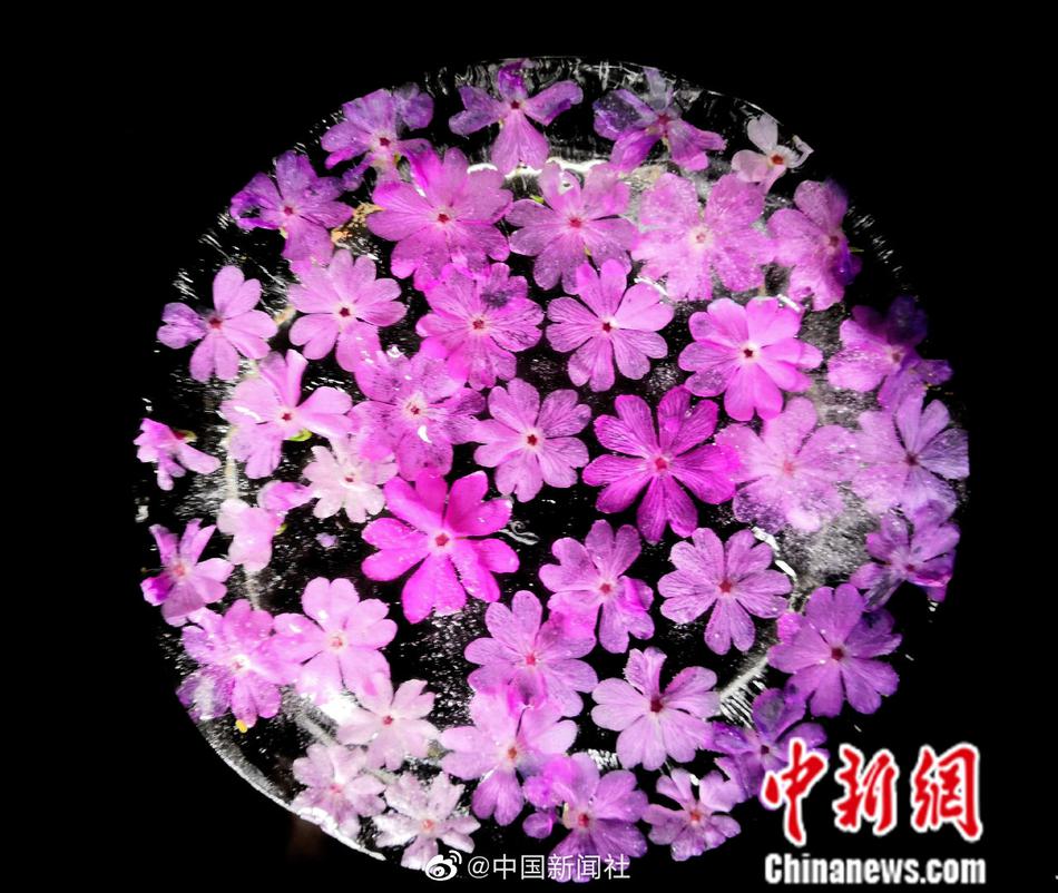 动漫美女被扒掉内衣捏胸
