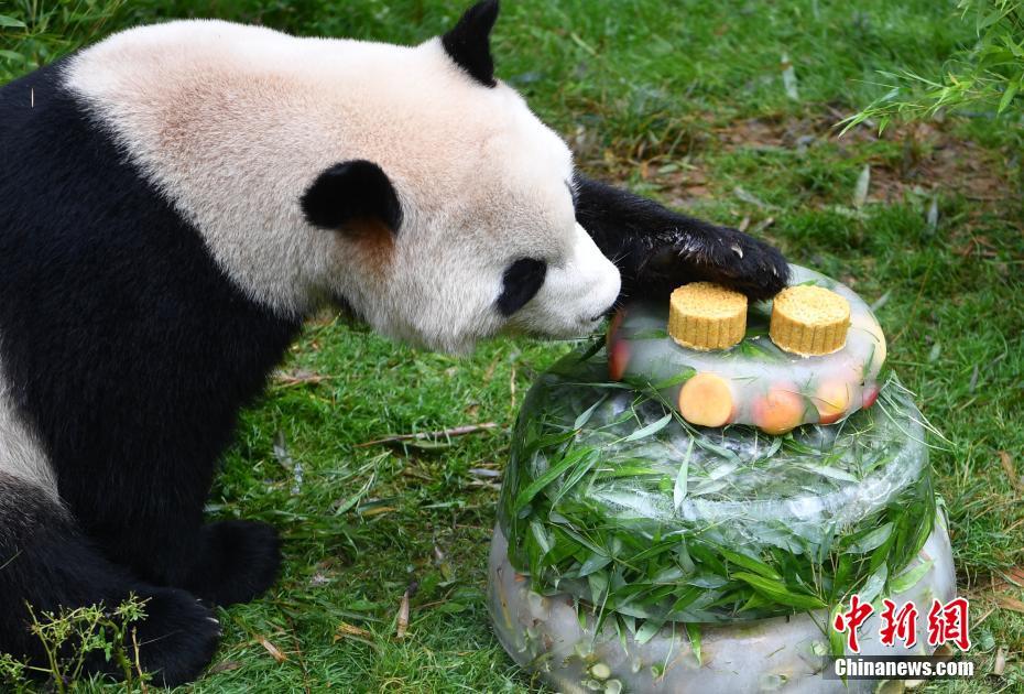 黄色网站永久免费