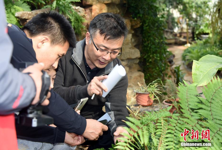 美国美欧Xxxx免费播网站