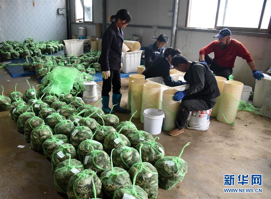 性愛影片外流