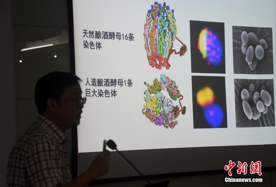 我的老婆是學生會長