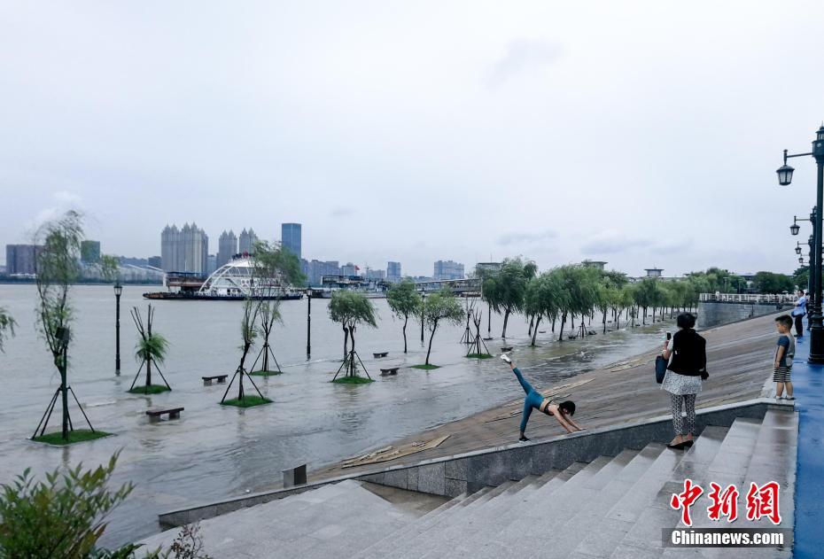 第一章豪妇荡乳黄淑珍的介绍