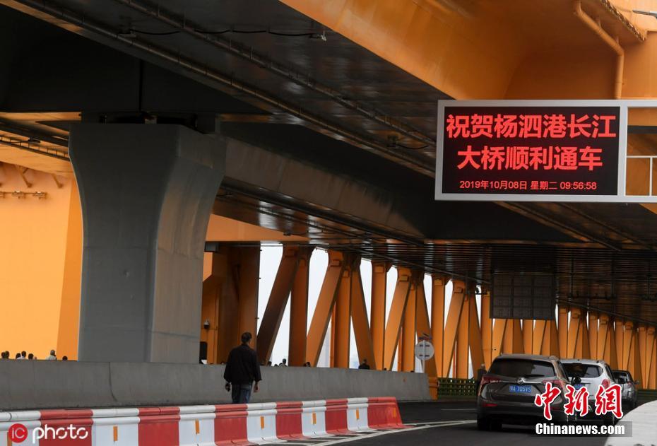 美国美女A大片又黄又免费