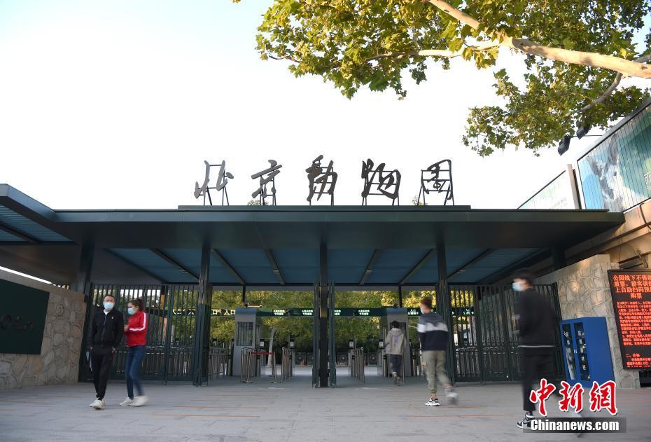 台灣大雞巴