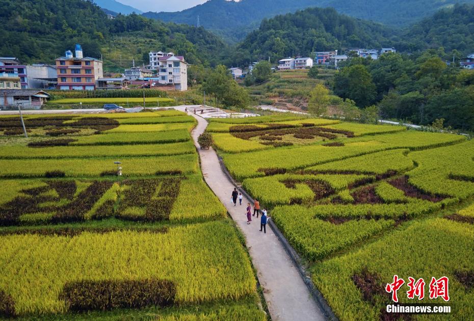 三级片全裸体网址