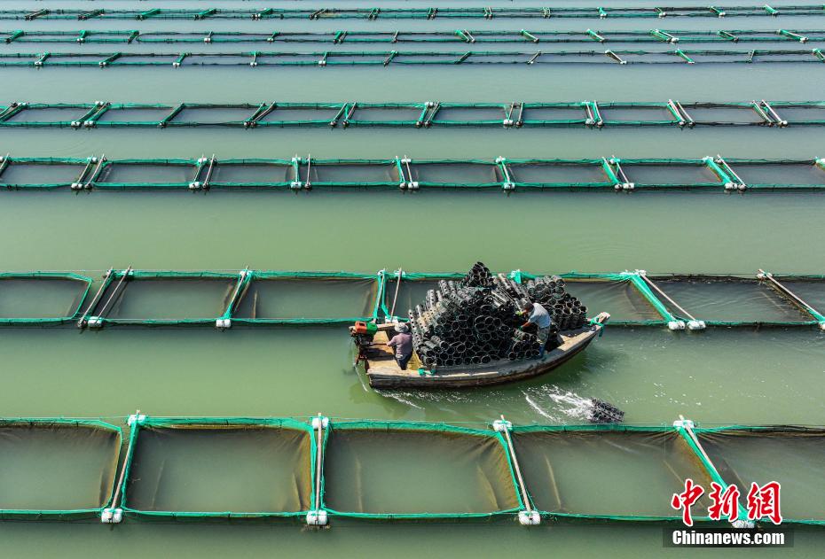 波多野结衣无码在线一区
