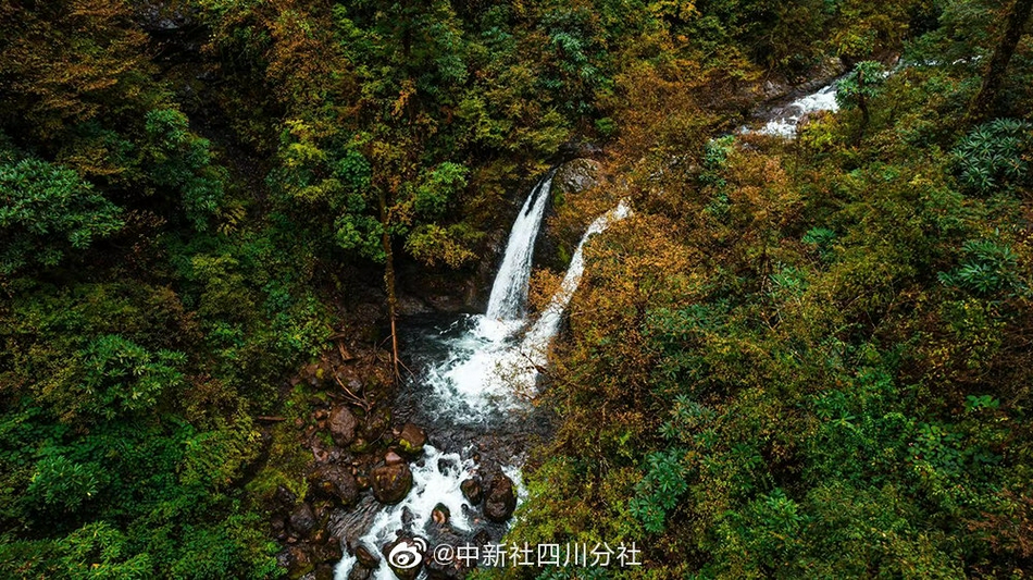 妖精尾巴