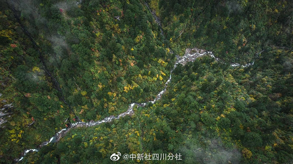 午夜福利精品