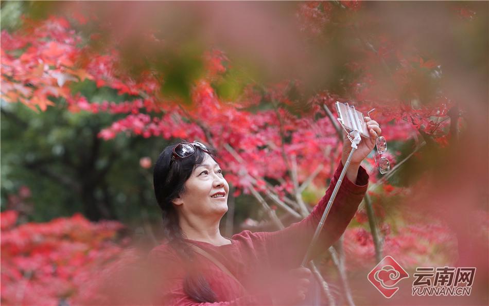 欧美老妇性Xxxxx