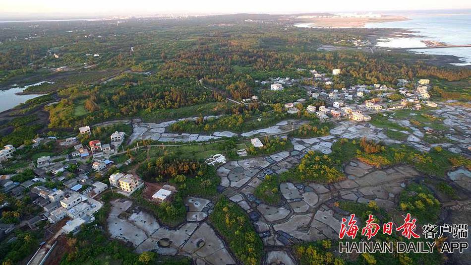 腸讯分分彩开奖结果
