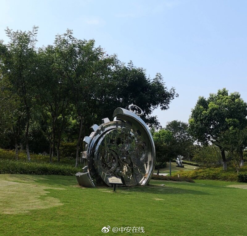 欧美老妇的多毛大肥屄