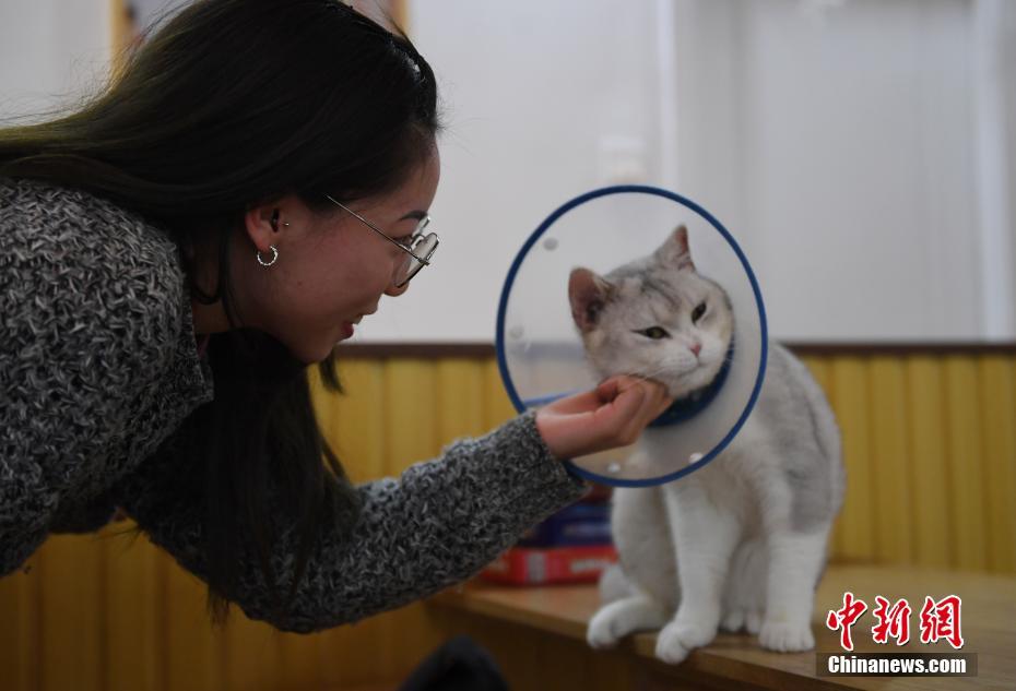 黄片看大黑逼