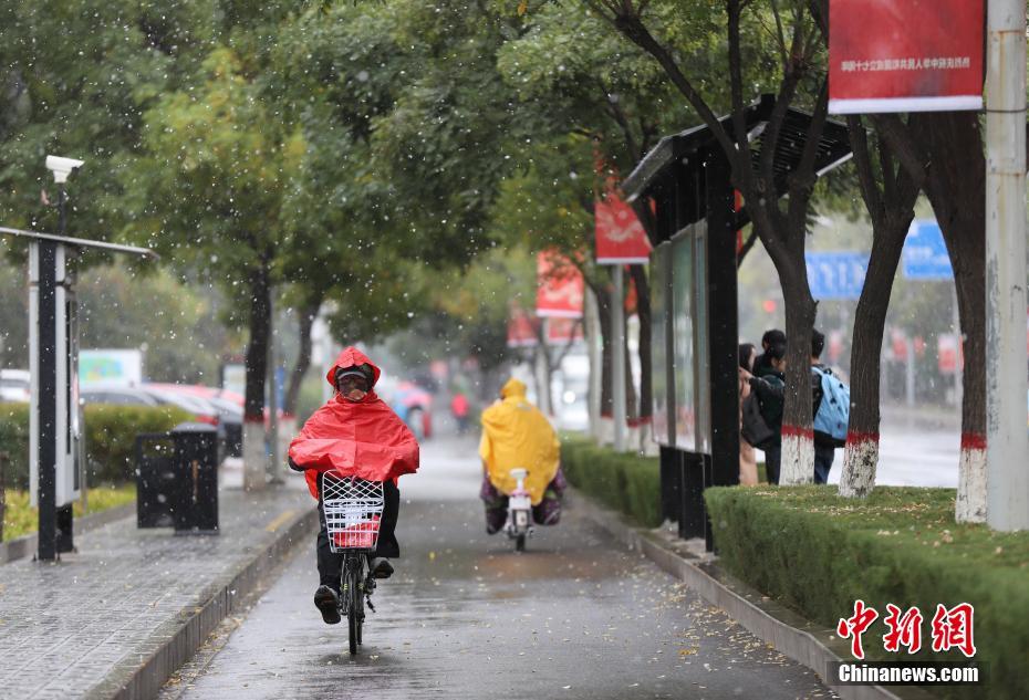 韩国裸体秘 无遮挡跳舞