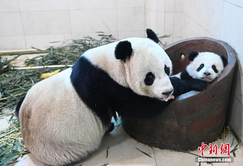 老师脱 让学生摸 小说