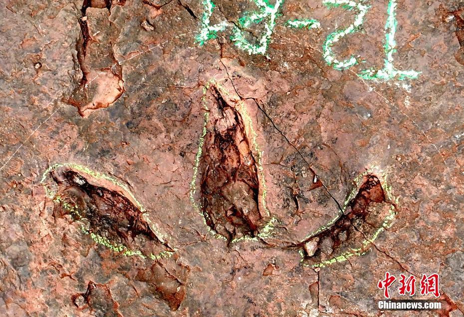 色情 网站 国产