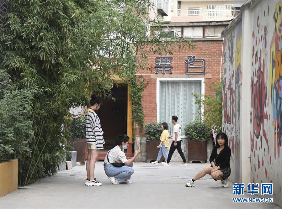 无码视频在线观看