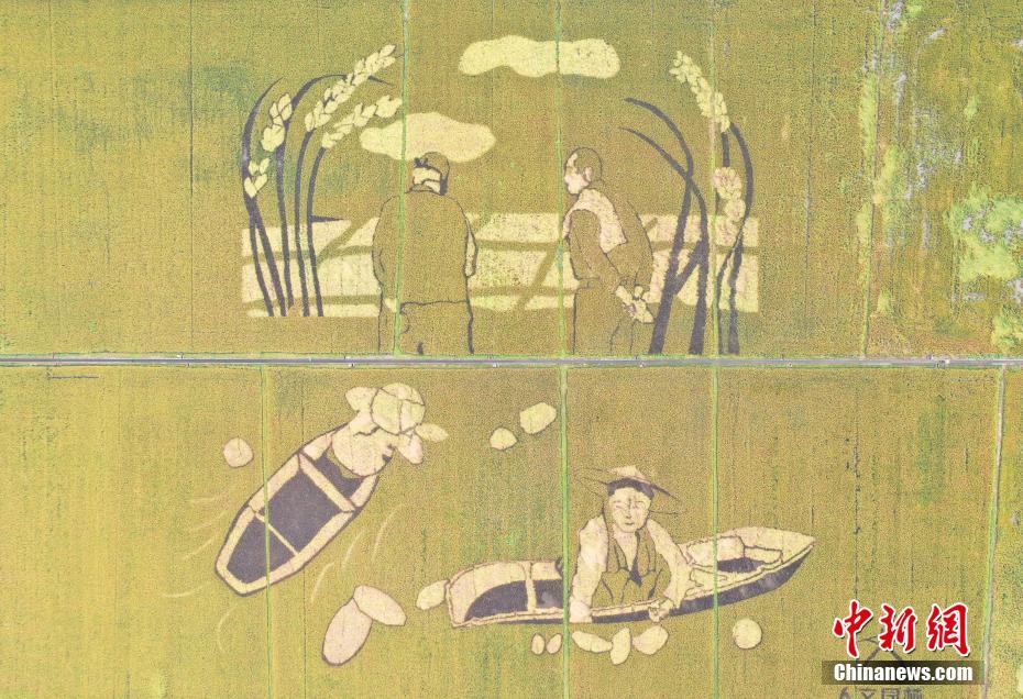 二级片黄色片三级片