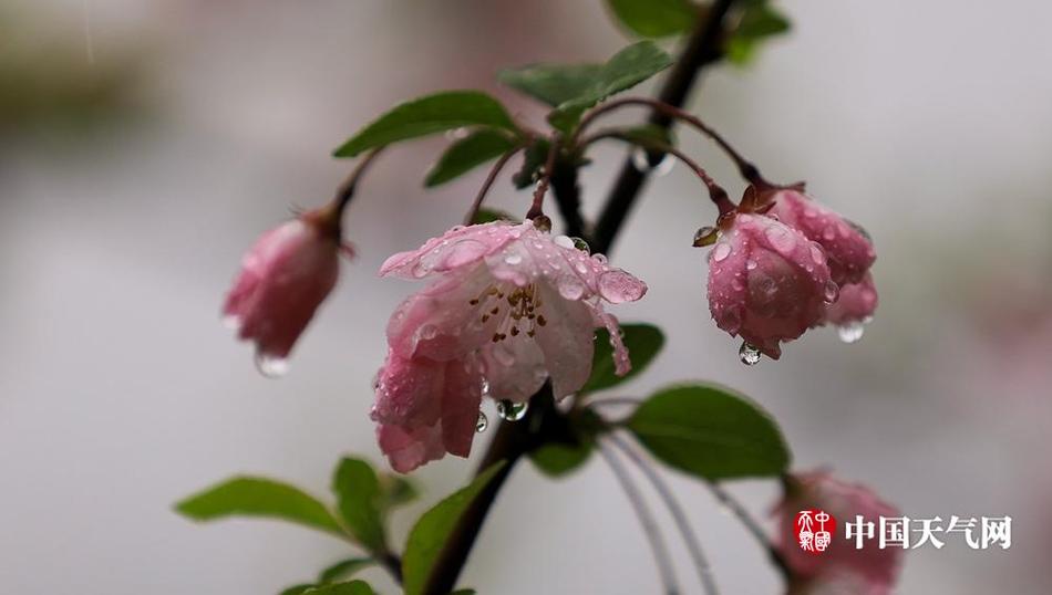 高清 无码 成人 电影