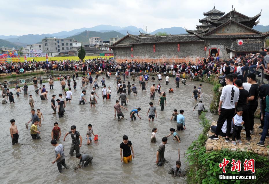 黄色三级片，黑人大长吊