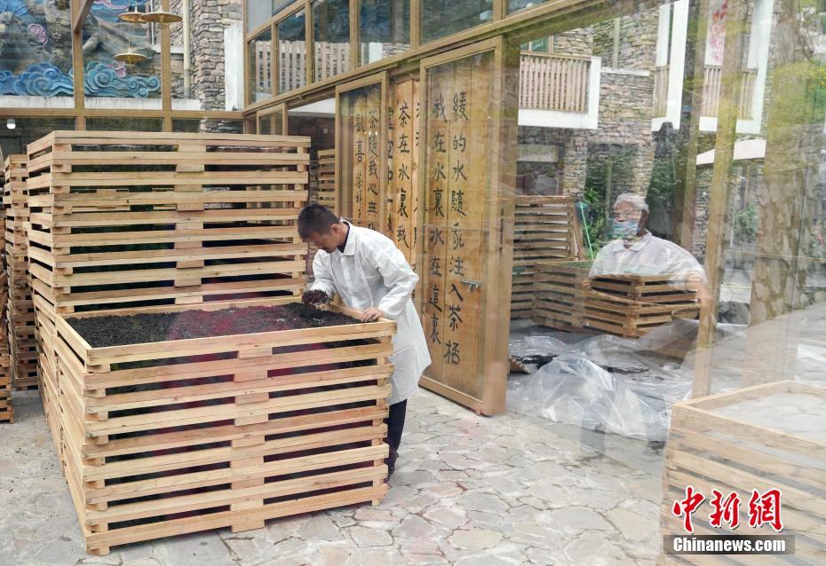 囯产精品久久久久久久久久乐趣播