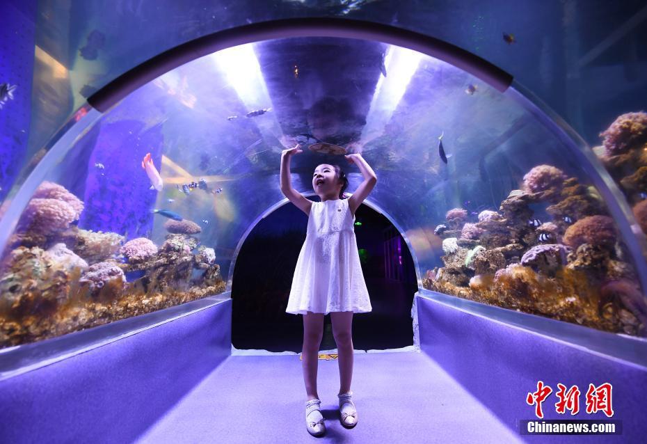 欧美性饥渴50少妇
